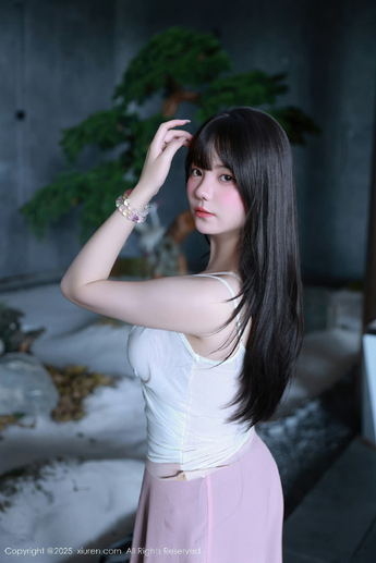 安装步骤示意图